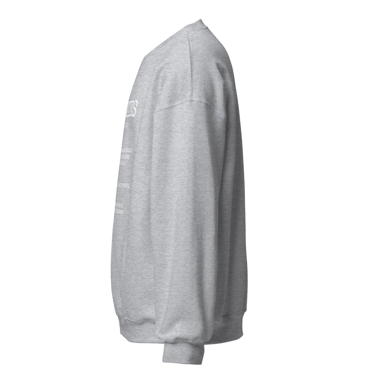 Zoomies Definition Unisex Sweatshirt