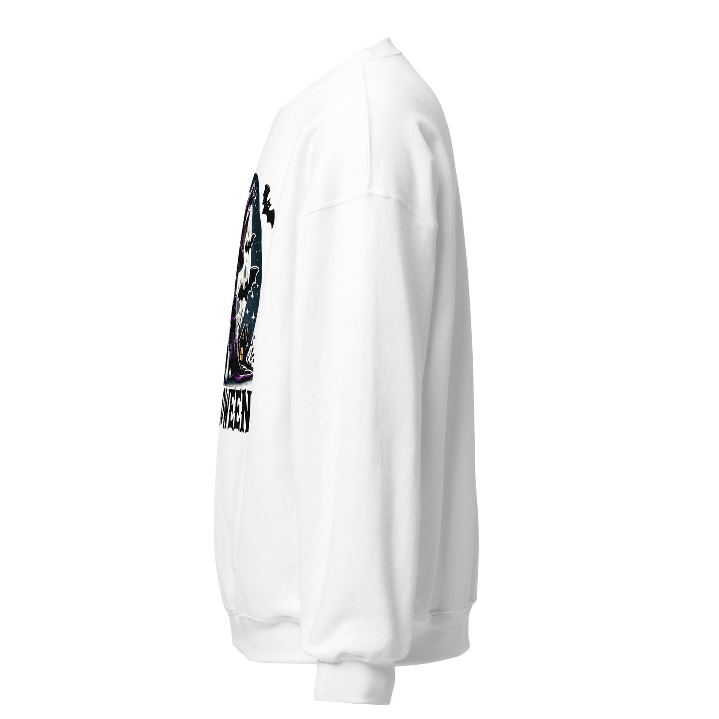 Halloween Witch Boston Terrier Unisex Sweatshirt