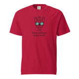 Relax, Nothing Is Under Control Boston Terrier Dog Unisex Garment-dyed Heavyweight T-Shirt . Red