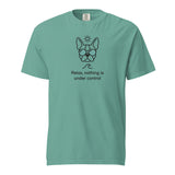 Relax, Nothing Is Under Control Boston Terrier Dog Unisex Garment-dyed Heavyweight T-Shirt . Seafoam