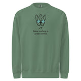 Relax, Nothing Is Under Control Boston Terrier Dog Unisex Garment-dyed Sweatshirt . Light Green