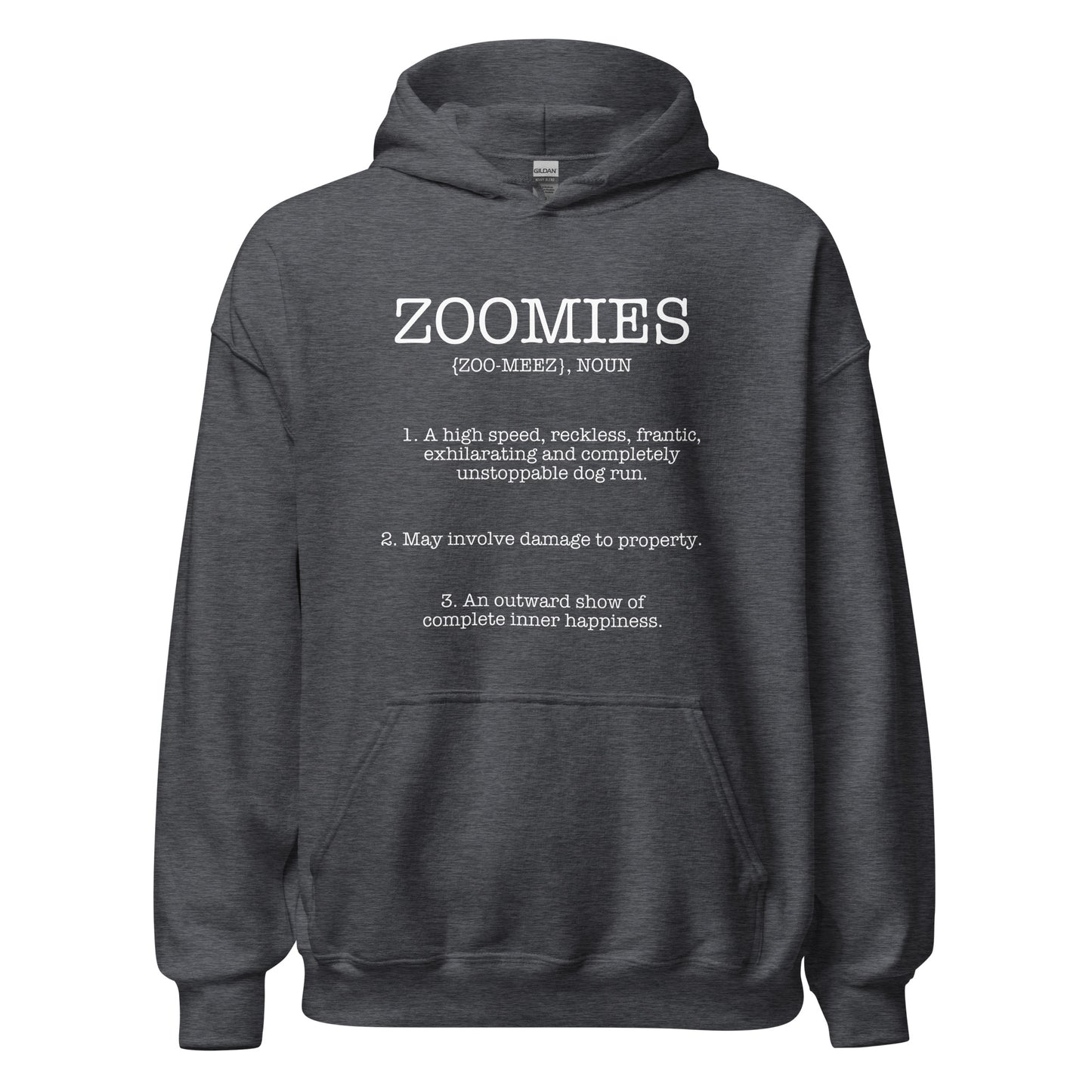 Zoomies Definition Unisex Hoodie