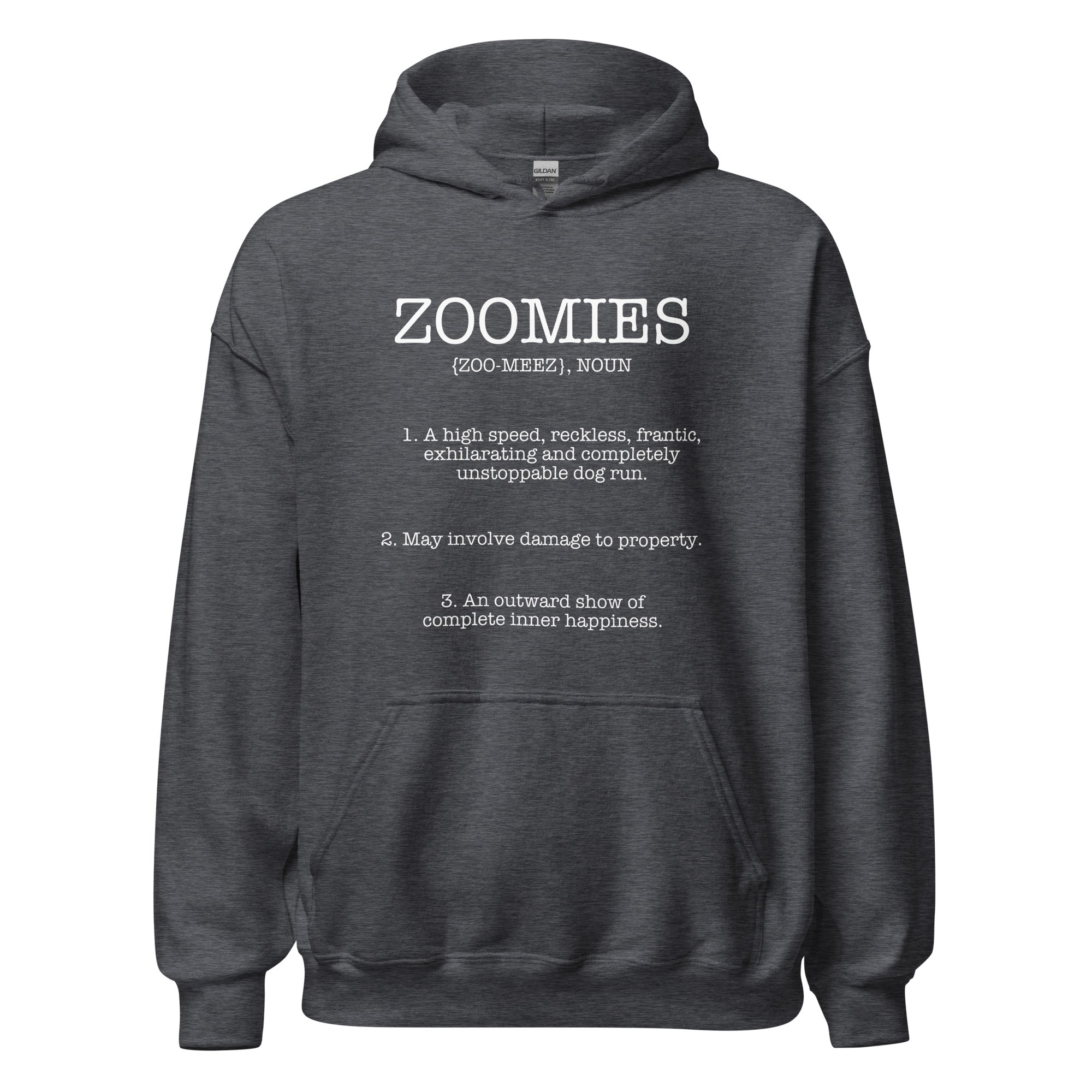Zoomies Definition Unisex Hoodie