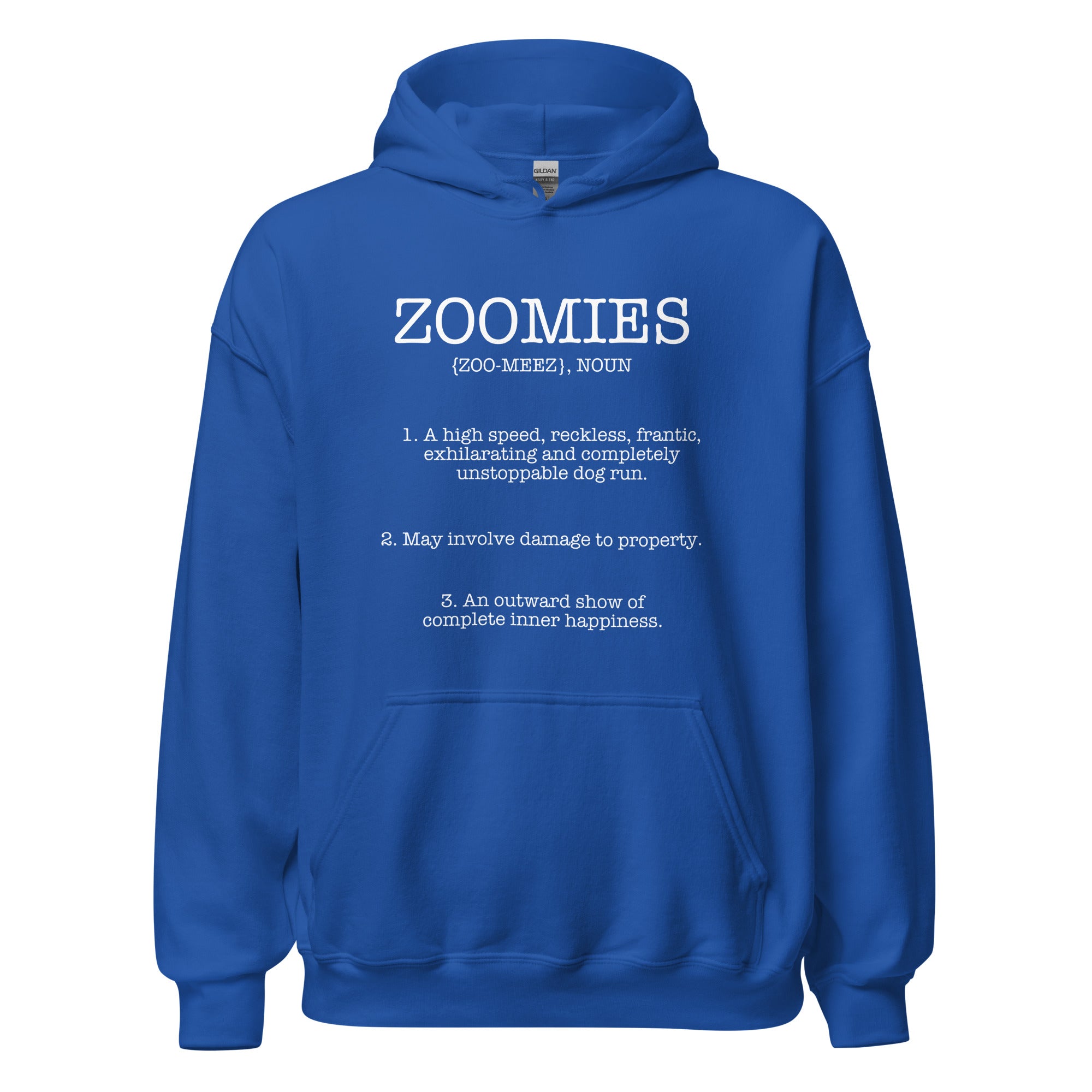 Zoomies Definition Unisex Hoodie