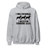 I Was Normal 3 Boston Terriers Ago Unisex Hoodie