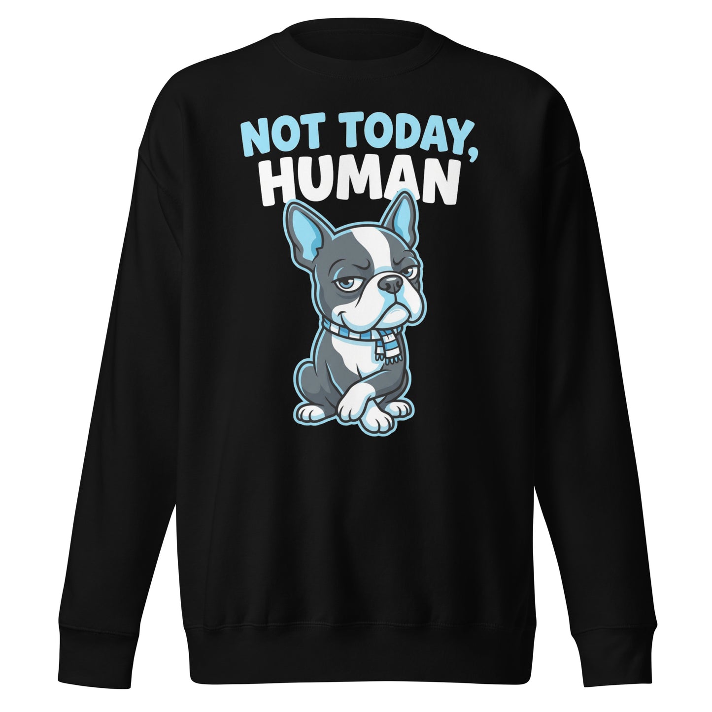 Not Today, Human - Cartoon Boston Terrier Side Eye Unisex Premium Sweatshirt . Black