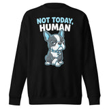 Not Today, Human - Cartoon Boston Terrier Side Eye Unisex Premium Sweatshirt . Black