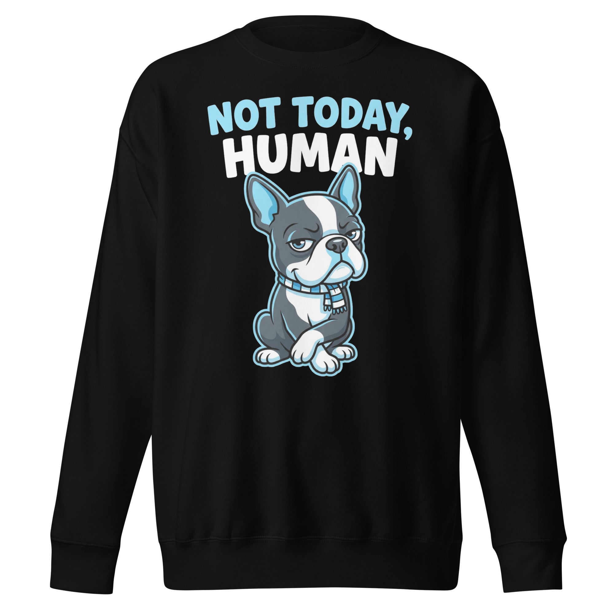 Not Today, Human - Cartoon Boston Terrier Side Eye Unisex Premium Sweatshirt . Black