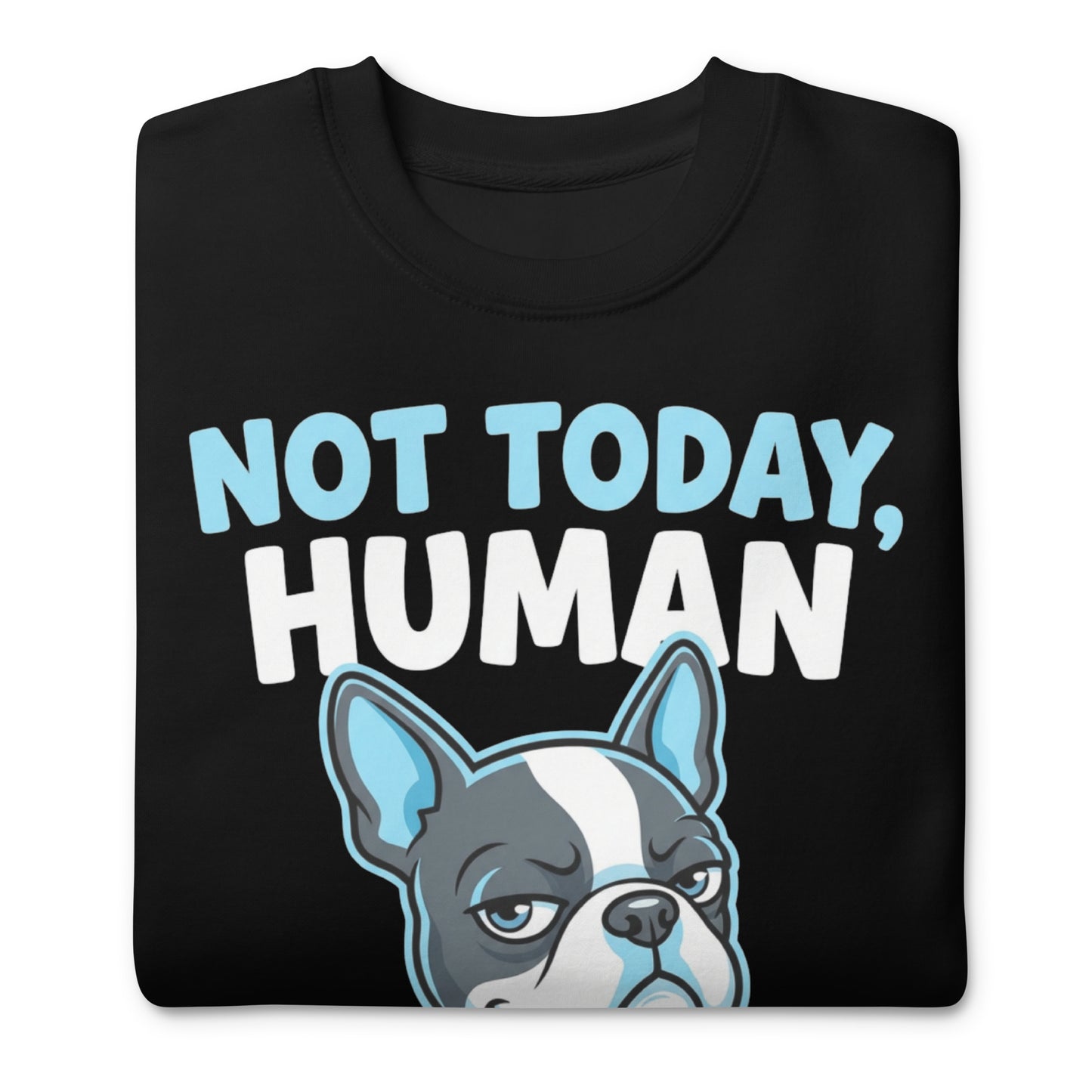 Not Today, Human - Cartoon Boston Terrier Side Eye Unisex Premium Sweatshirt .