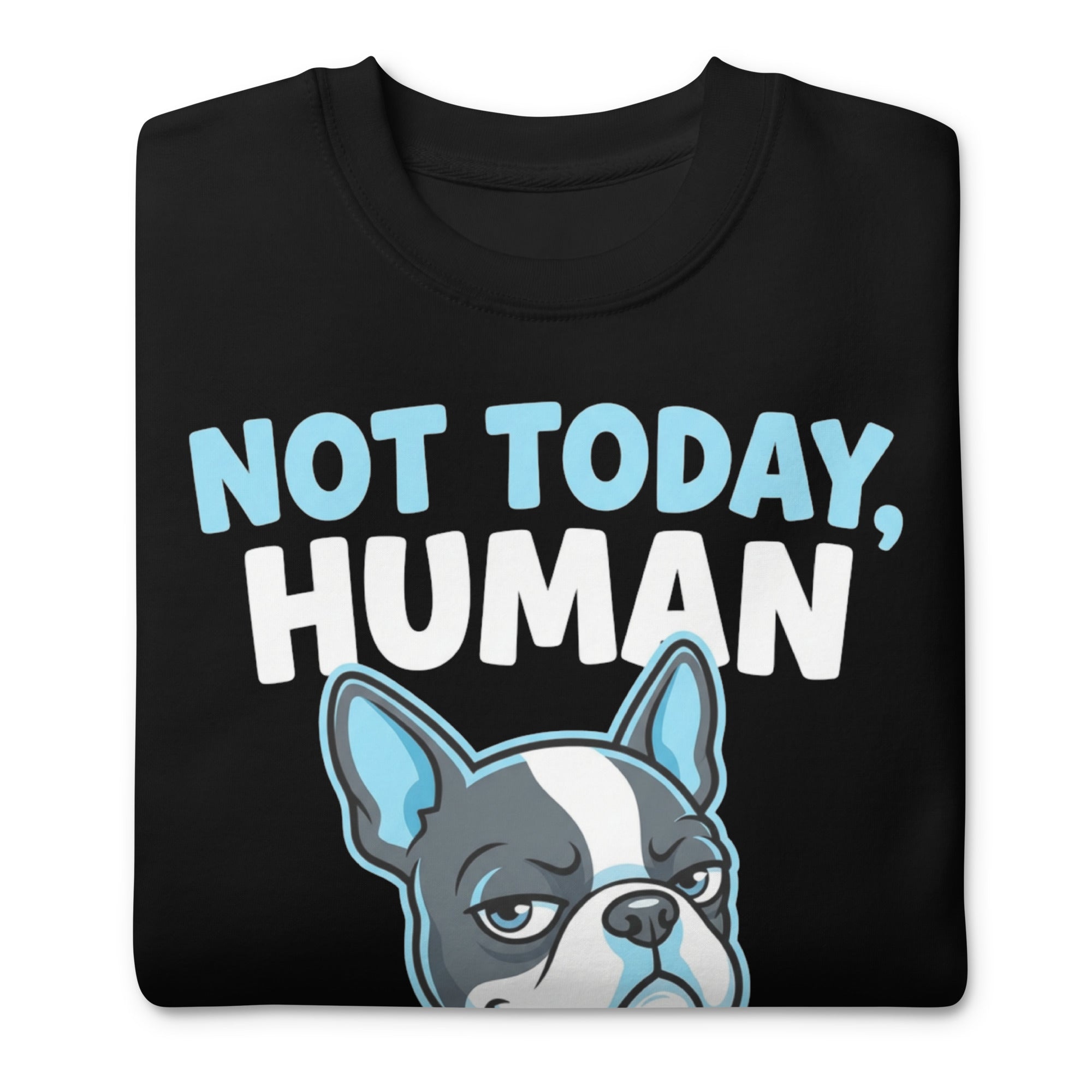 Not Today, Human - Cartoon Boston Terrier Side Eye Unisex Premium Sweatshirt .