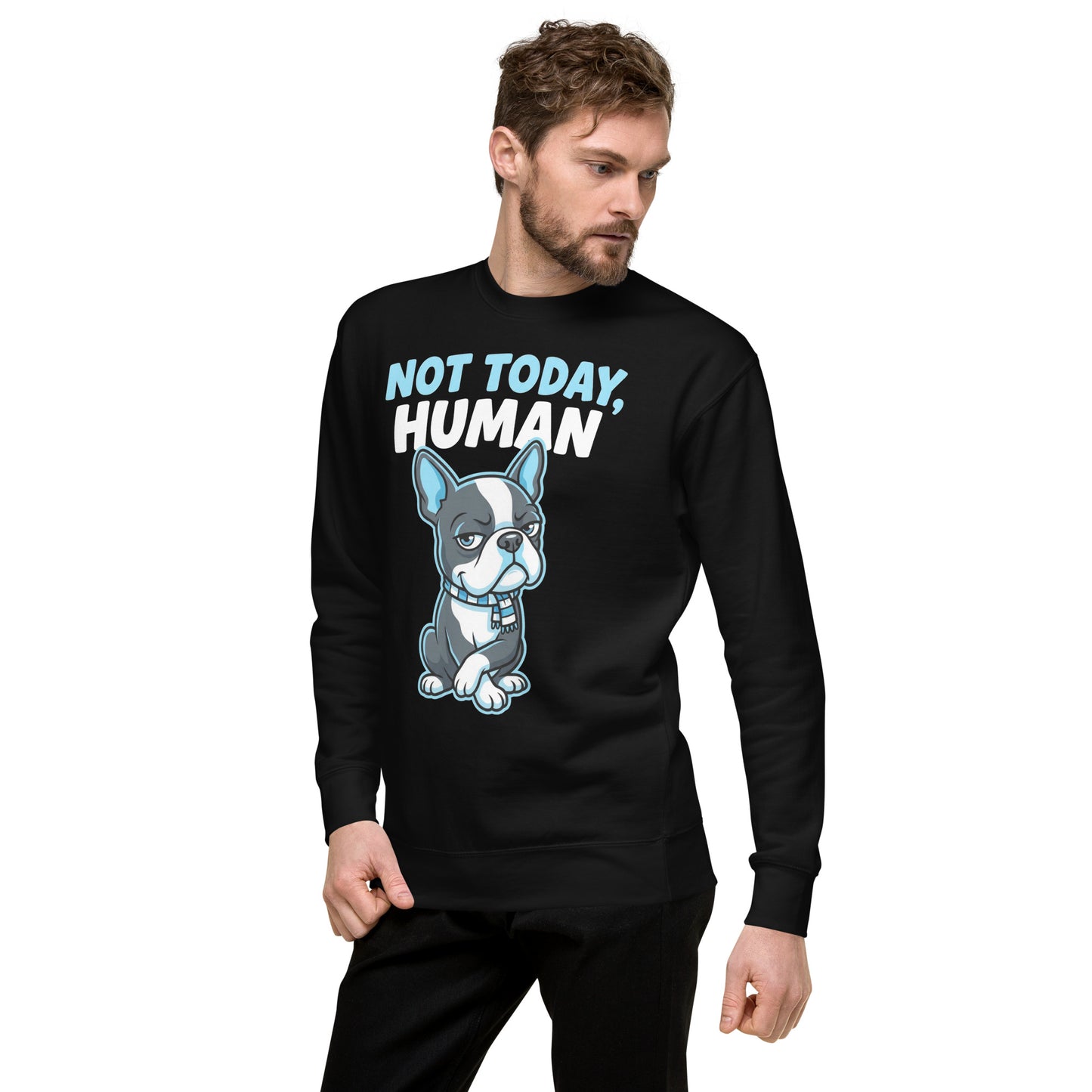 Not Today, Human - Cartoon Boston Terrier Side Eye Unisex Premium Sweatshirt .