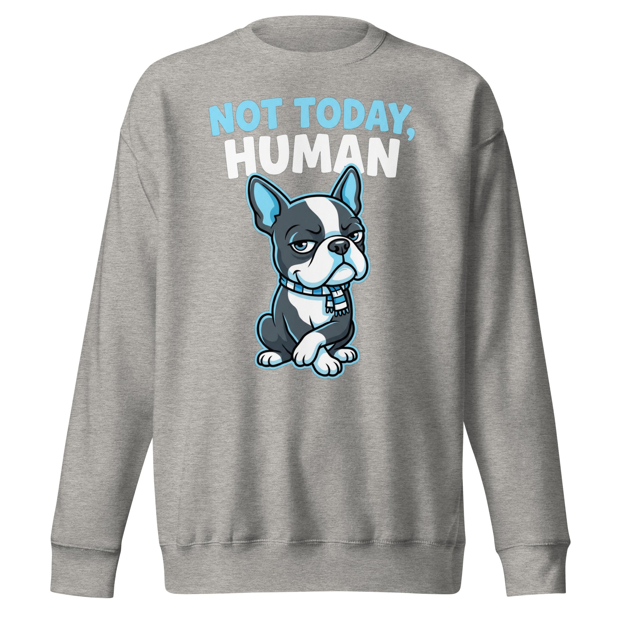 Not Today, Human - Cartoon Boston Terrier Side Eye Unisex Premium Sweatshirt . Carbon Grey