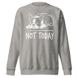 Not Today Lazy Boston Terrier Dog Unisex Premium Sweatshirt . Carbon Grey