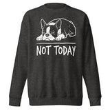 Not Today Lazy Boston Terrier Dog Unisex Premium Sweatshirt . Charcoal Heather