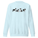 4 Boston Terrier Poses Unisex Premium Sweatshirt . Sky Blue