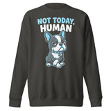 Not Today, Human - Cartoon Boston Terrier Side Eye Unisex Premium Sweatshirt . Vintage Black