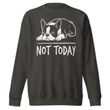 Not Today Lazy Boston Terrier Dog Unisex Premium Sweatshirt . Vintage Black