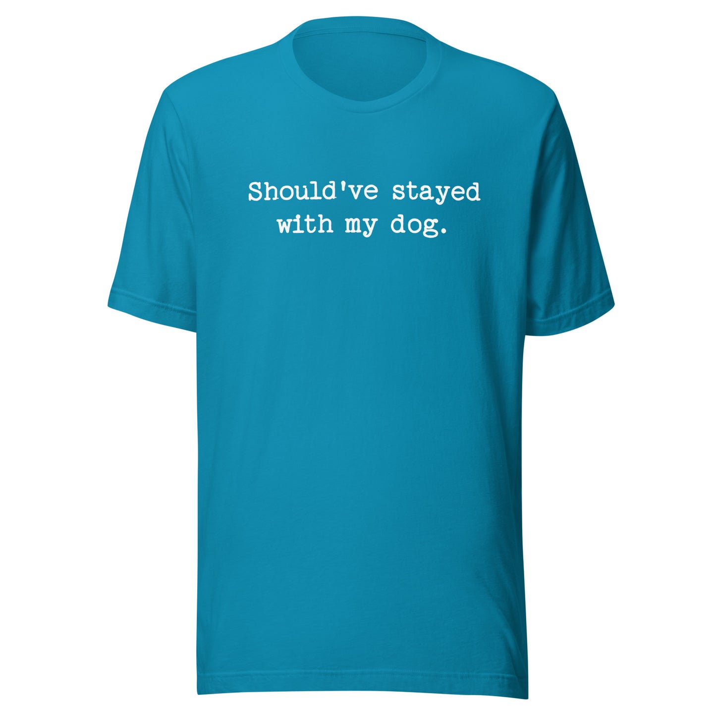 Should've Stayed With My Dog Funny Unisex T-Shirt . Aqua