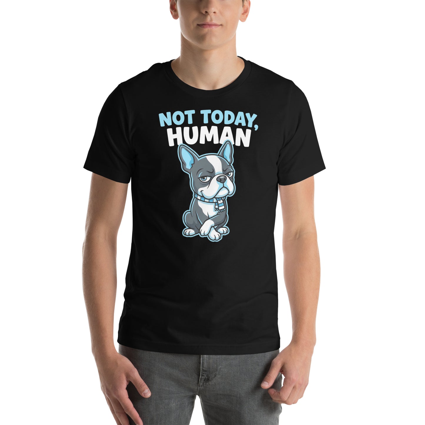Not Today, Human - Cartoon Boston Terrier Side Eye Unisex T-Shirt .