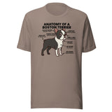 Boston Terrier Anatomy Illustrated Unisex T-Shirt . Pebble