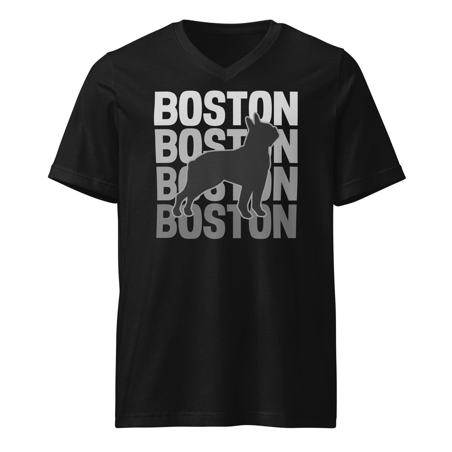 Boston Streetwear Unisex Short Sleeve V-Neck T-Shirt . Black