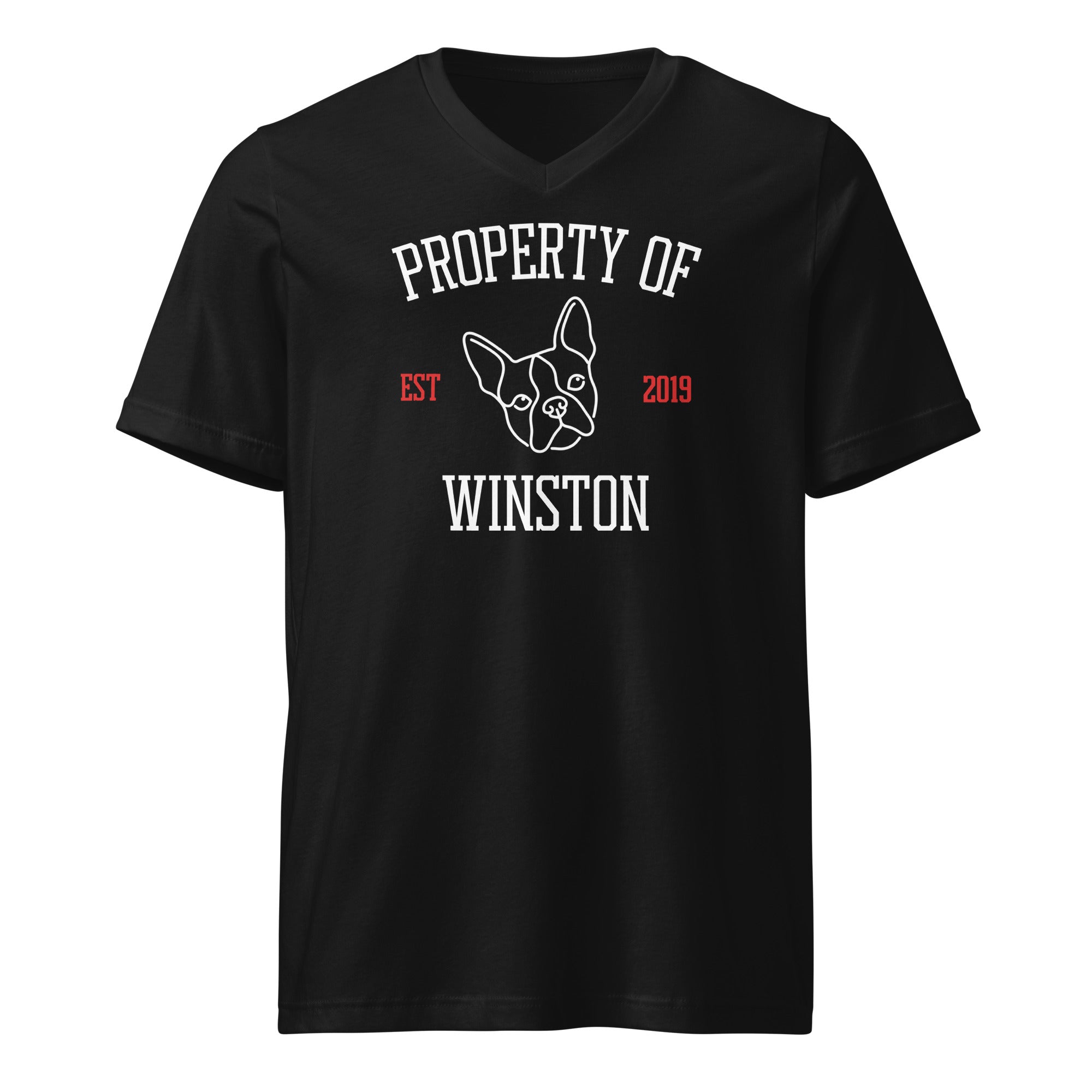 Property Of My Dog Custom Unisex Short Sleeve V-Neck T-Shirt . Black