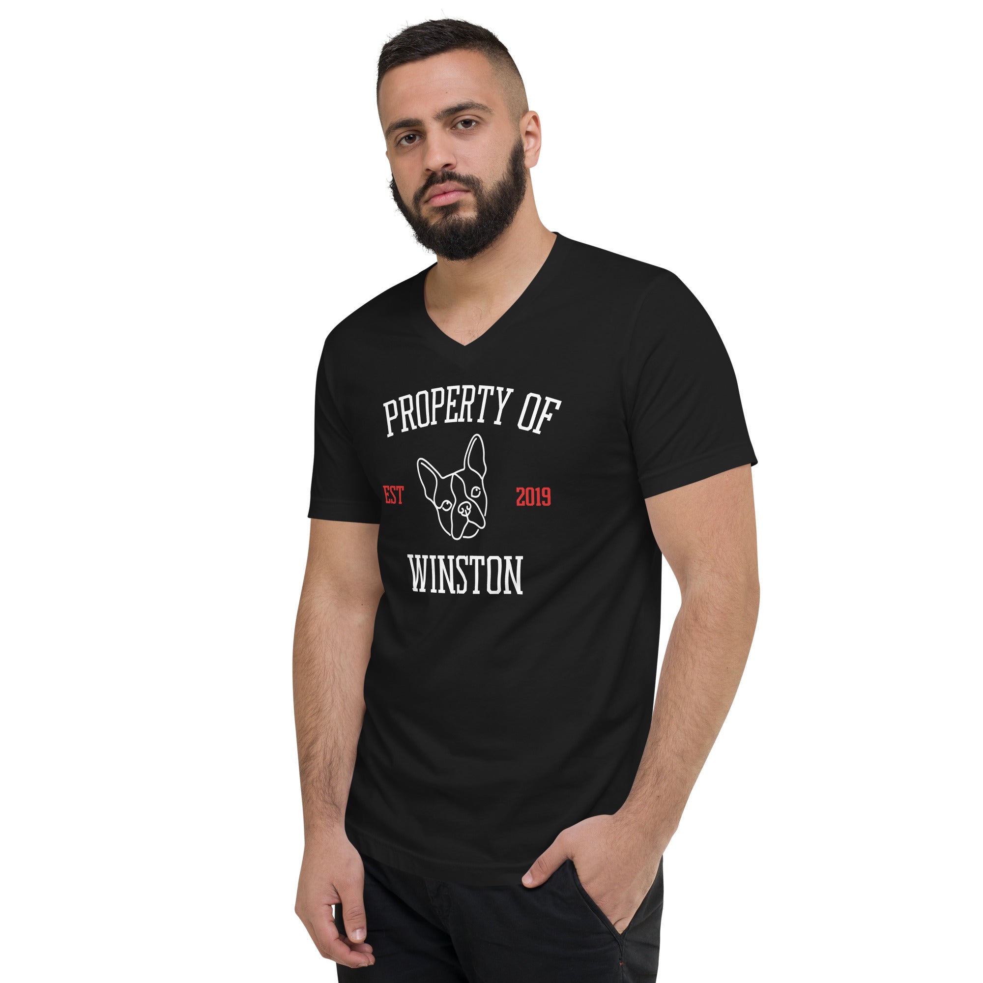 Property Of My Dog Custom Unisex Short Sleeve V-Neck T-Shirt .