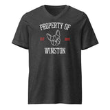 Property Of My Dog Custom Unisex Short Sleeve V-Neck T-Shirt . Dark Grey Heather