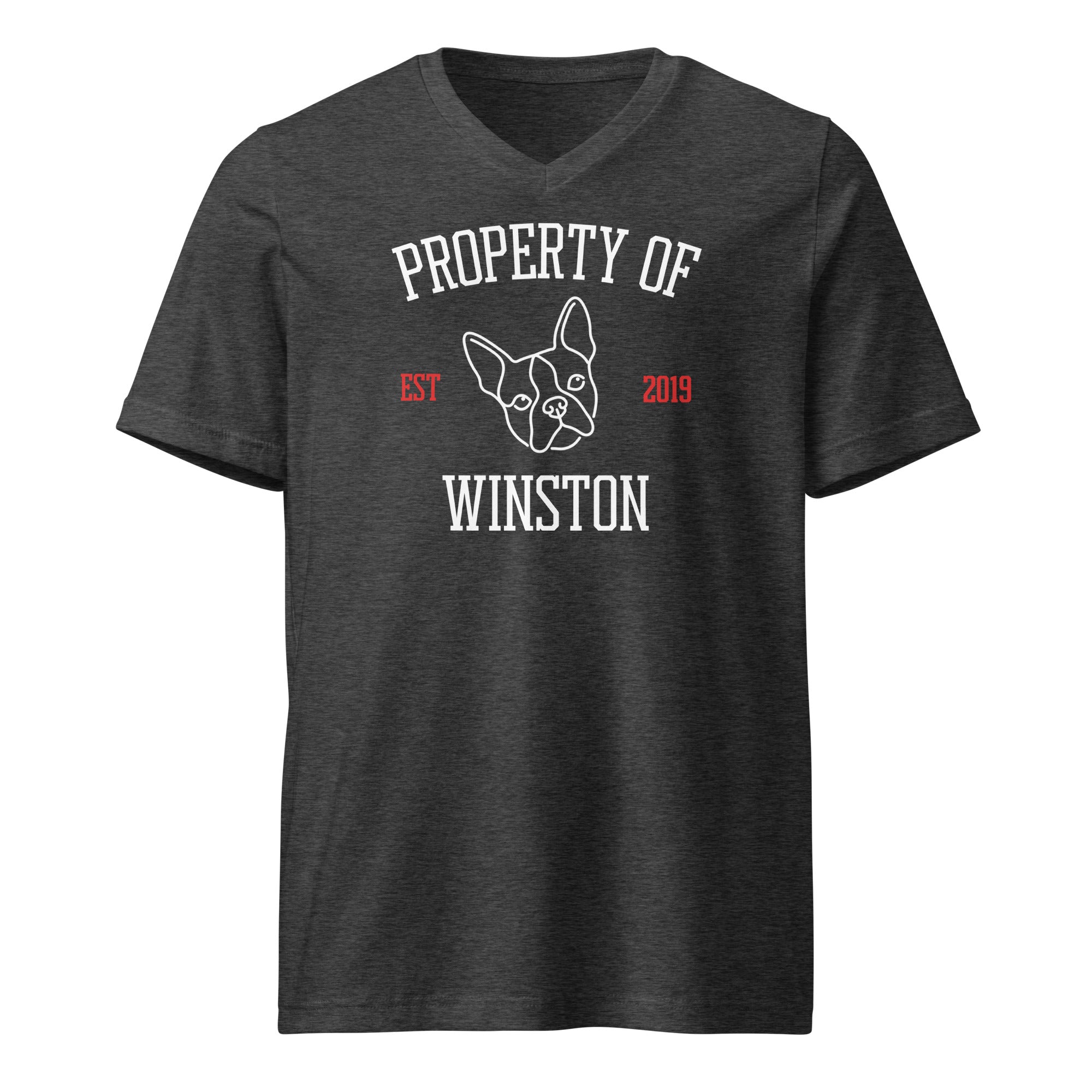 Property Of My Dog Custom Unisex Short Sleeve V-Neck T-Shirt . Dark Grey Heather