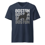 Boston Streetwear Unisex Short Sleeve V-Neck T-Shirt . Navy