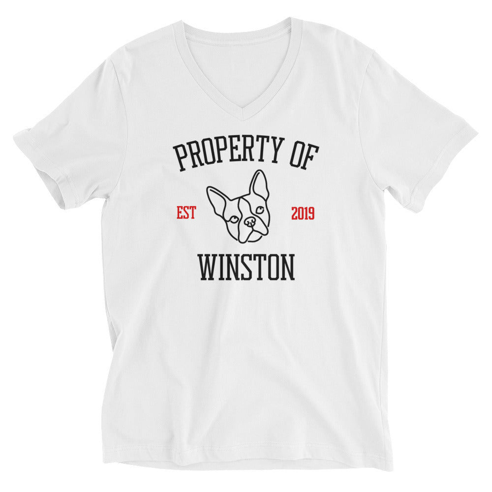 Property Of My Dog Custom Unisex Short Sleeve V-Neck T-Shirt . White