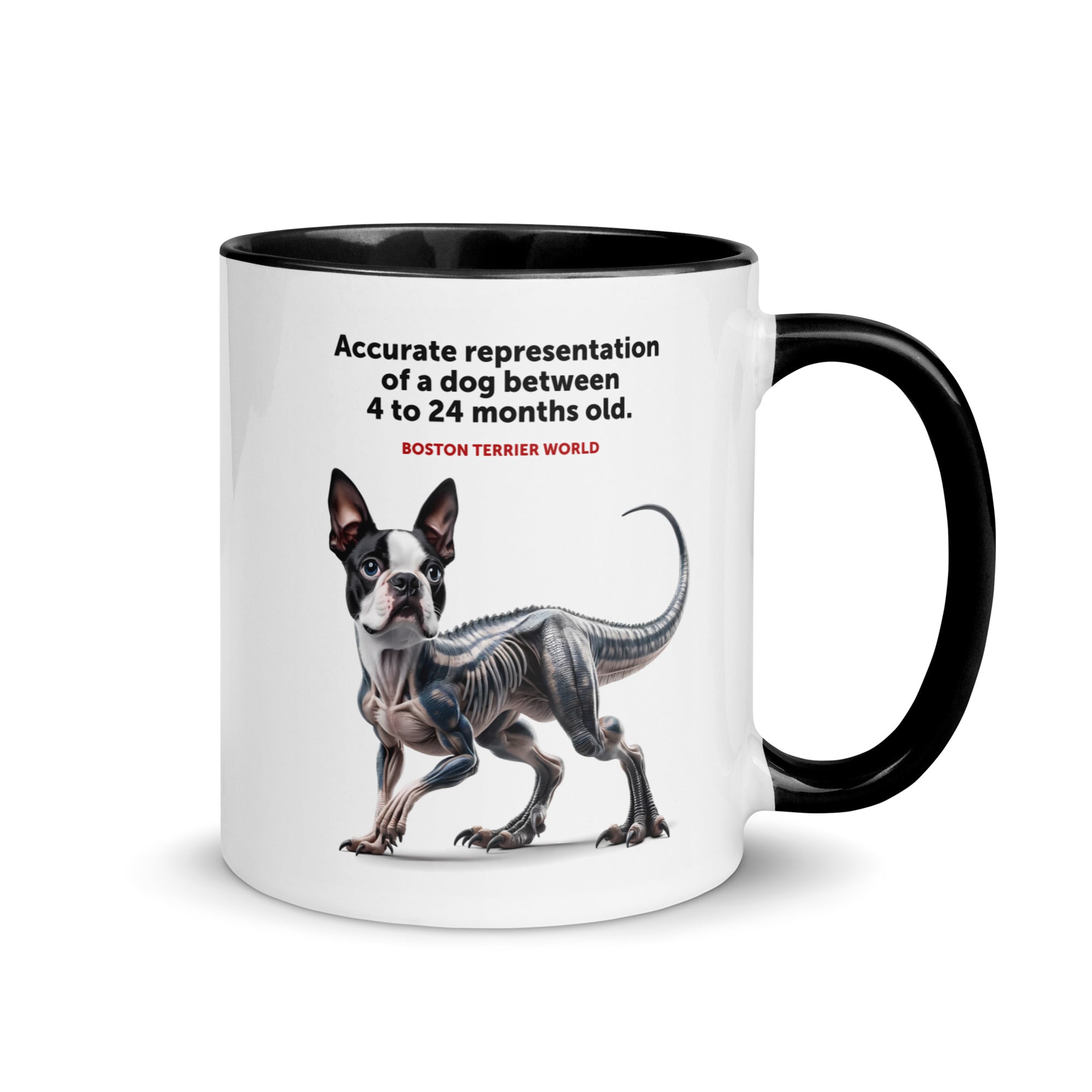 Accurate Representation of a Dog (Boston Terrier) between 4 to 24 Months old Mug