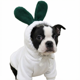 White Radish Vegetable Dog Hoodie .