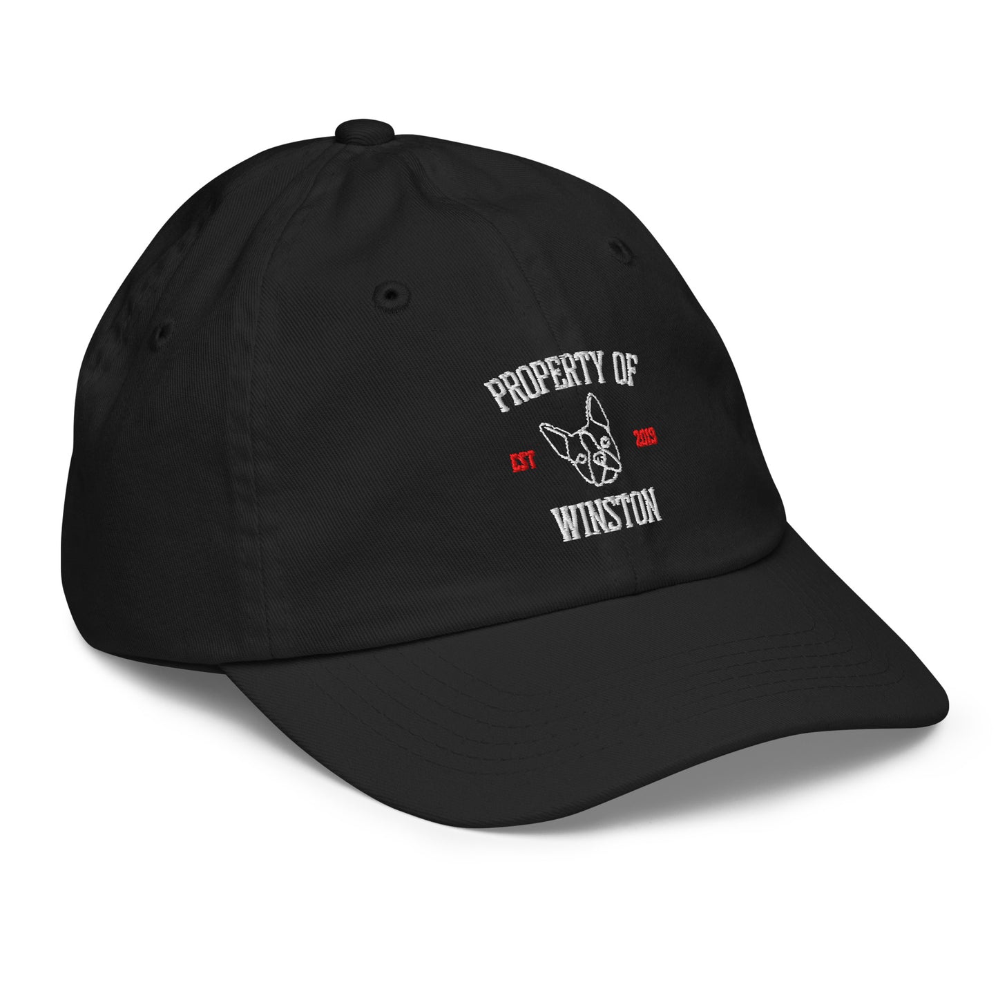 Property Of My Dog Custom Embroidered Youth Baseball Cap .
