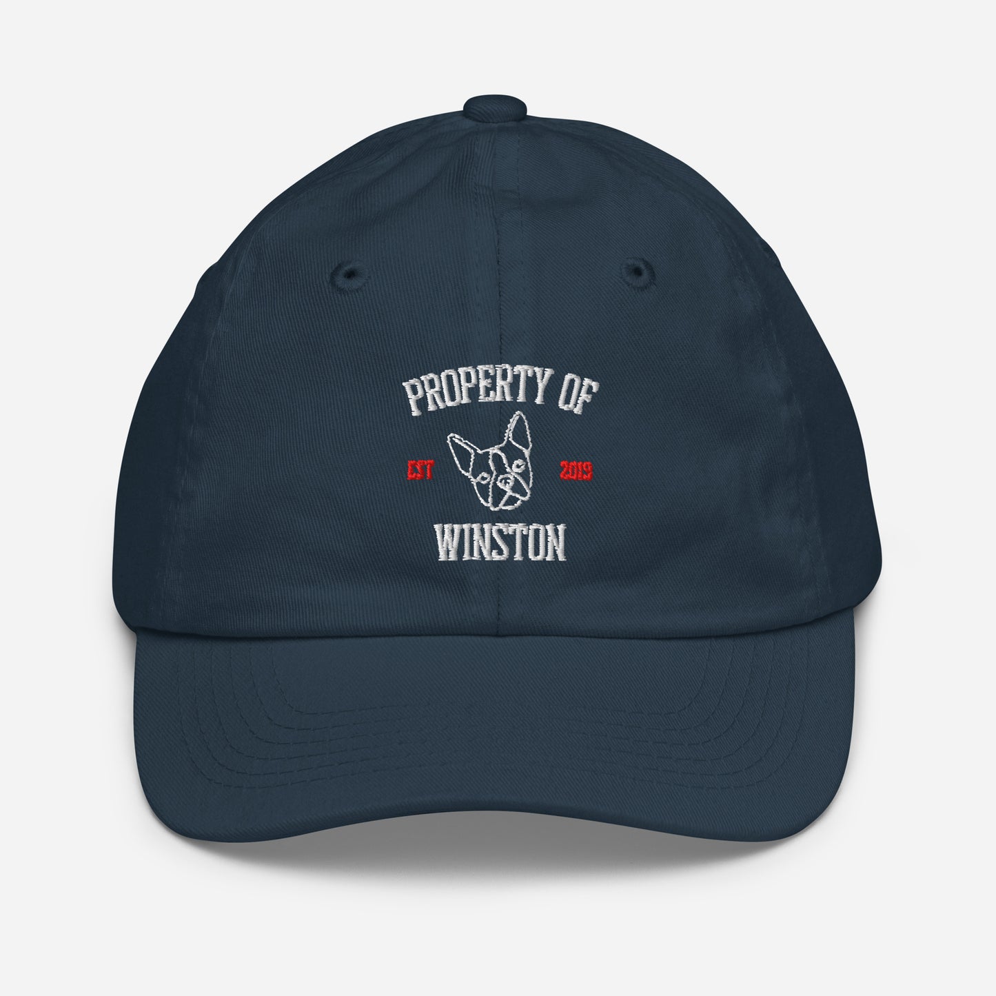 Property Of My Dog Custom Embroidered Youth Baseball Cap . Navy