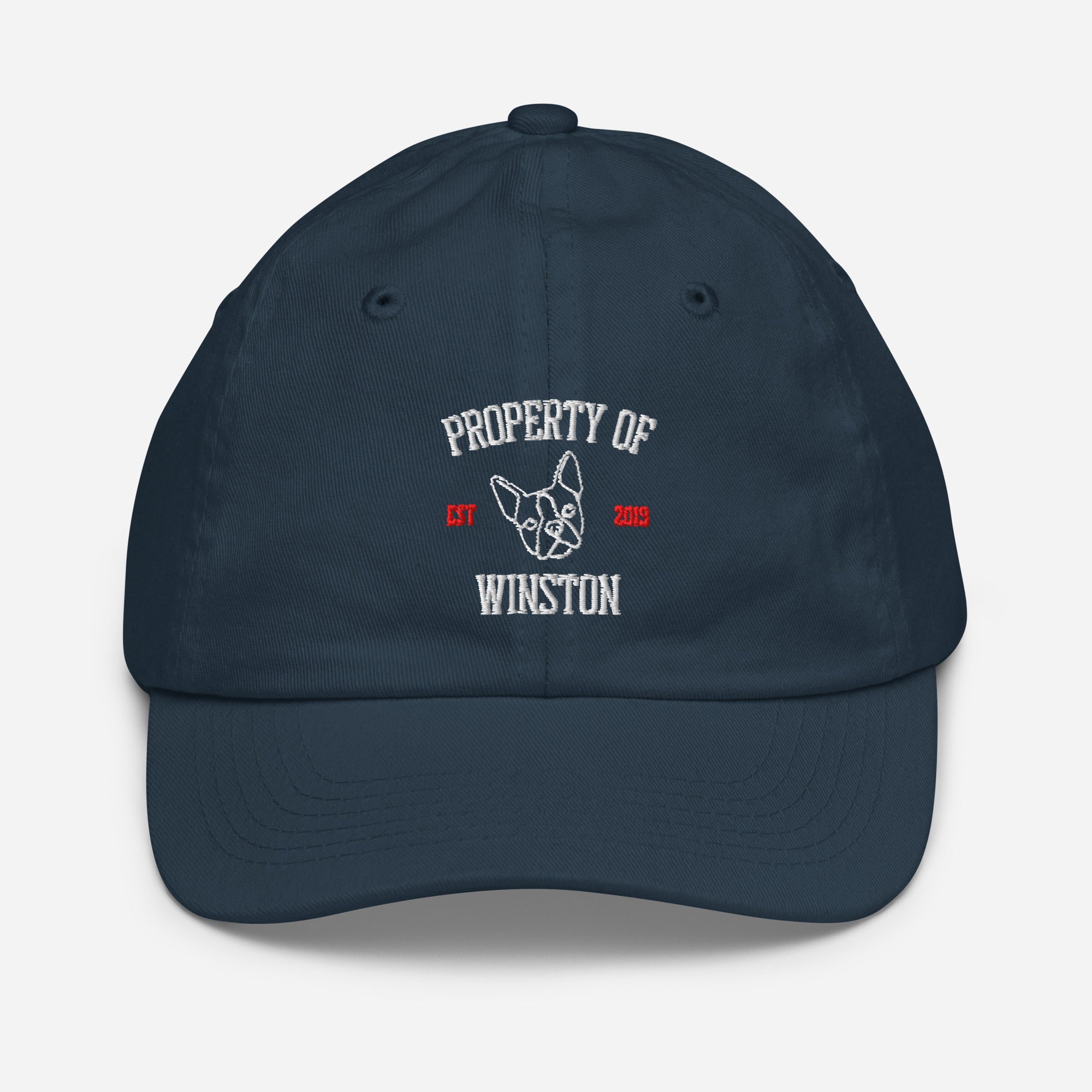 Property Of My Dog Custom Embroidered Youth Baseball Cap . Navy
