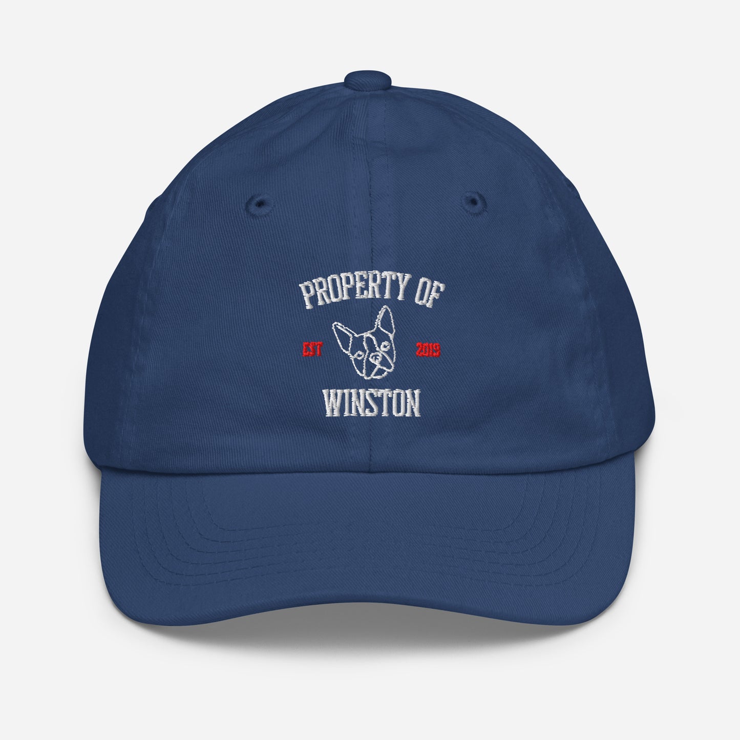 Property Of My Dog Custom Embroidered Youth Baseball Cap . Royal
