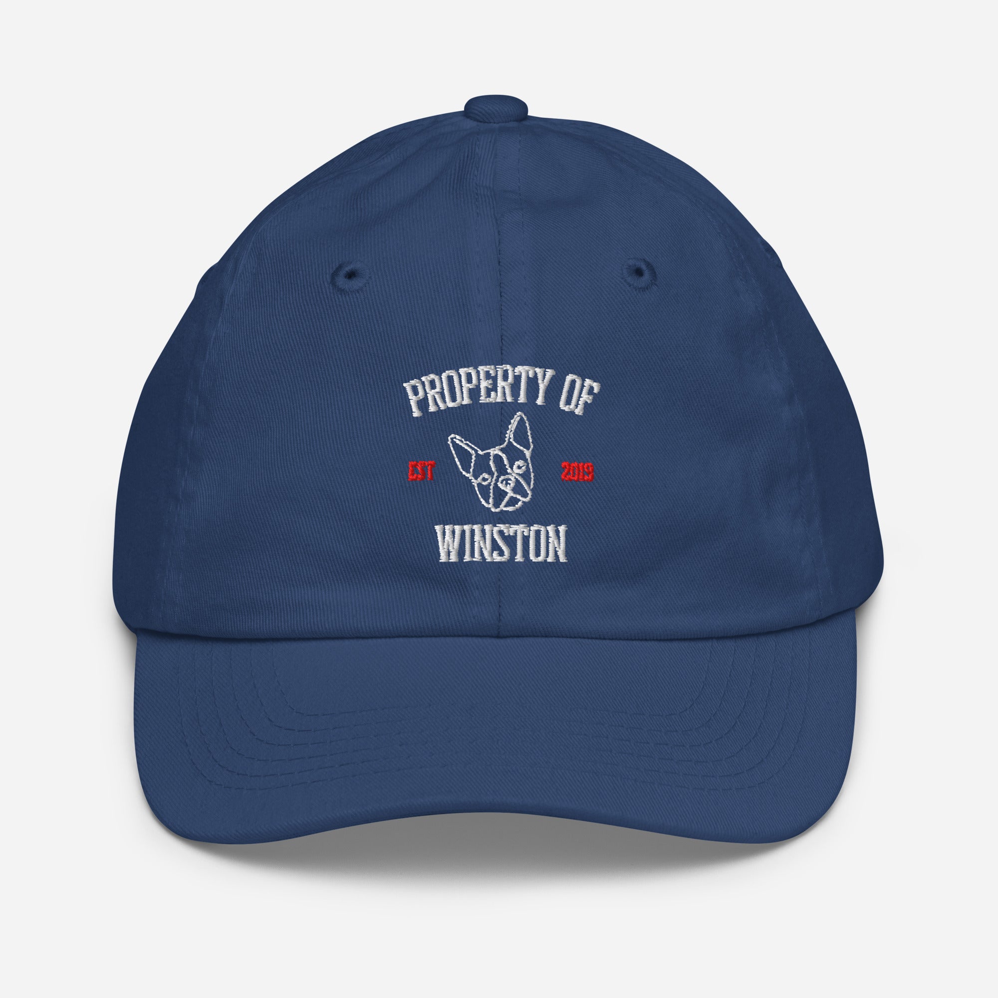 Property Of My Dog Custom Embroidered Youth Baseball Cap . Royal