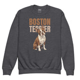 Brown Boston Terrier Dog Youth Crewneck Sweatshirt . Dark Heather