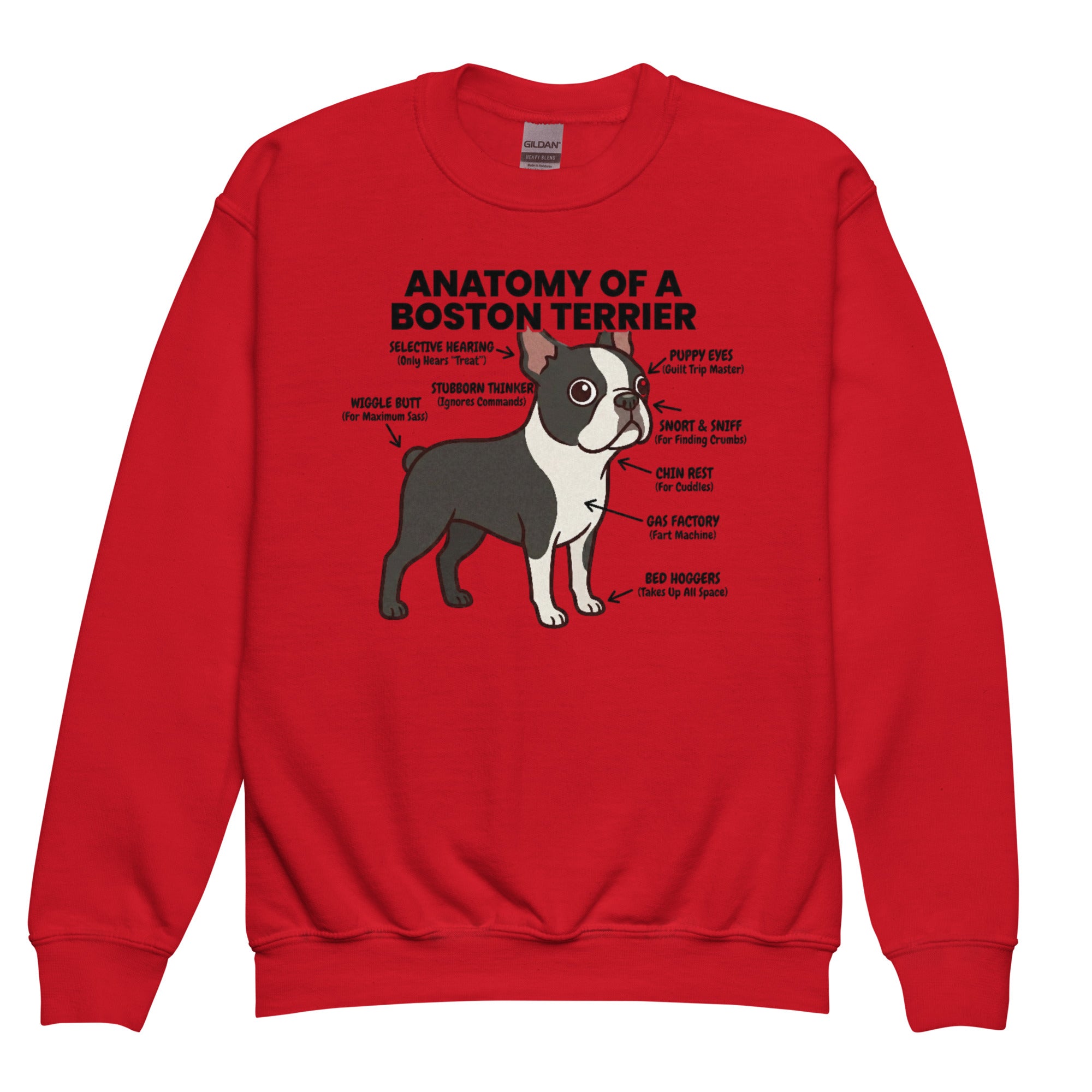 Boston Terrier Anatomy Illustrated Youth Crewneck Sweatshirt . Red