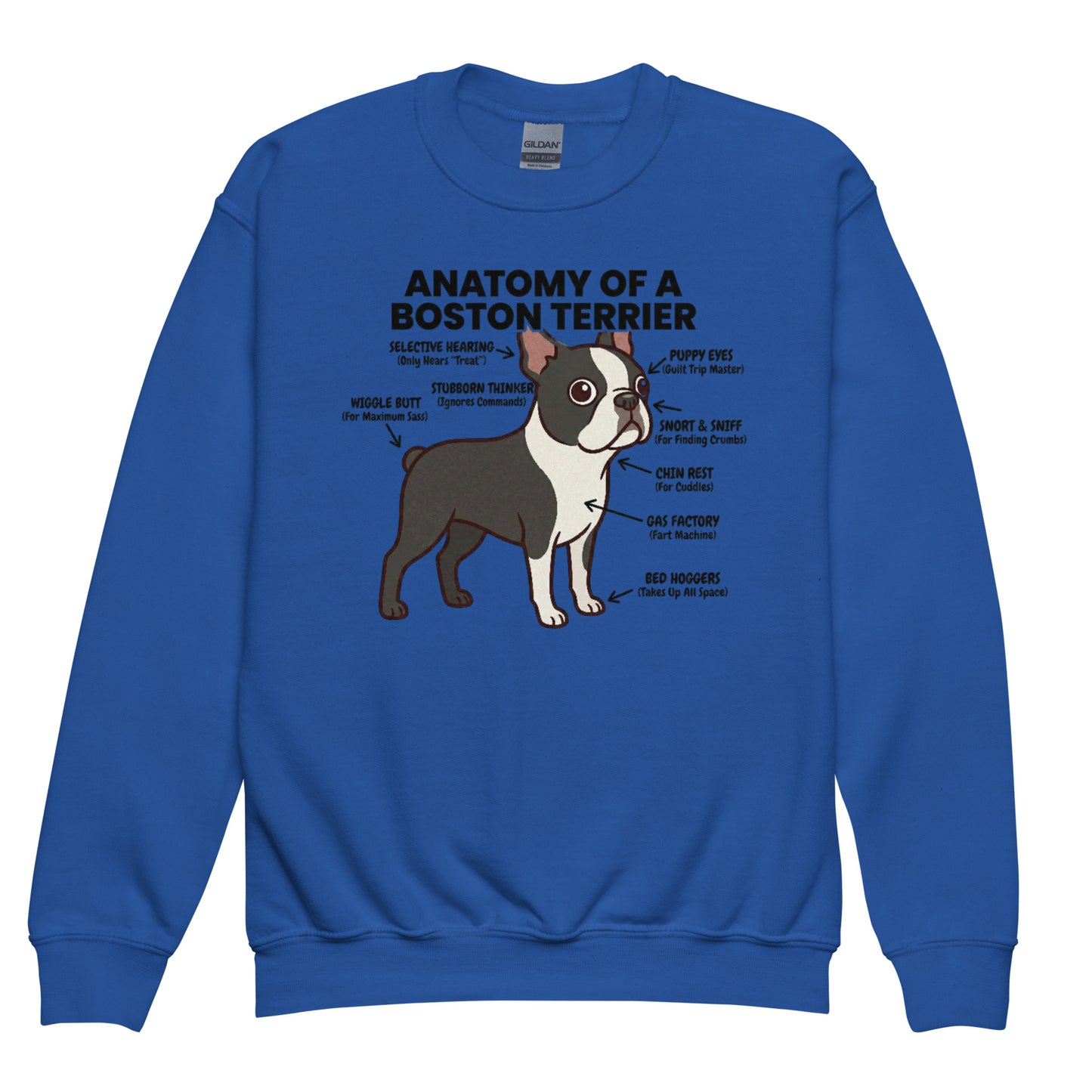 Boston Terrier Anatomy Illustrated Youth Crewneck Sweatshirt . Royal
