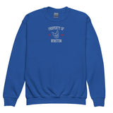 Property Of My Dog Custom Embroidered Youth Crewneck Sweatshirt . Royal