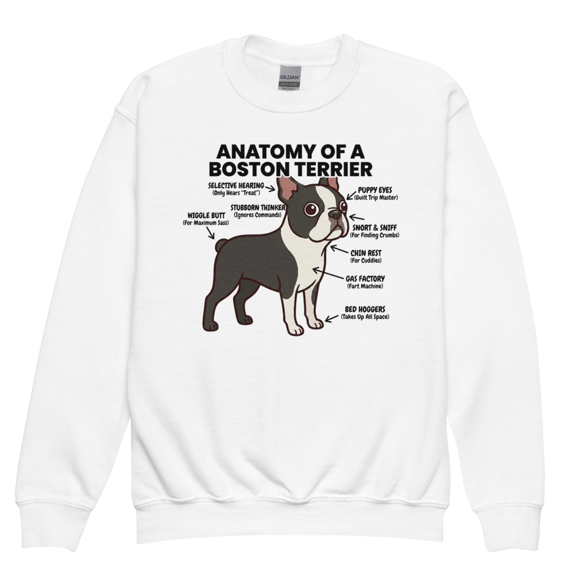 Boston Terrier Anatomy Illustrated Youth Crewneck Sweatshirt . White
