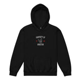 Property Of My Dog Custom Embroidered Youth Heavy Blend Hoodie . Black