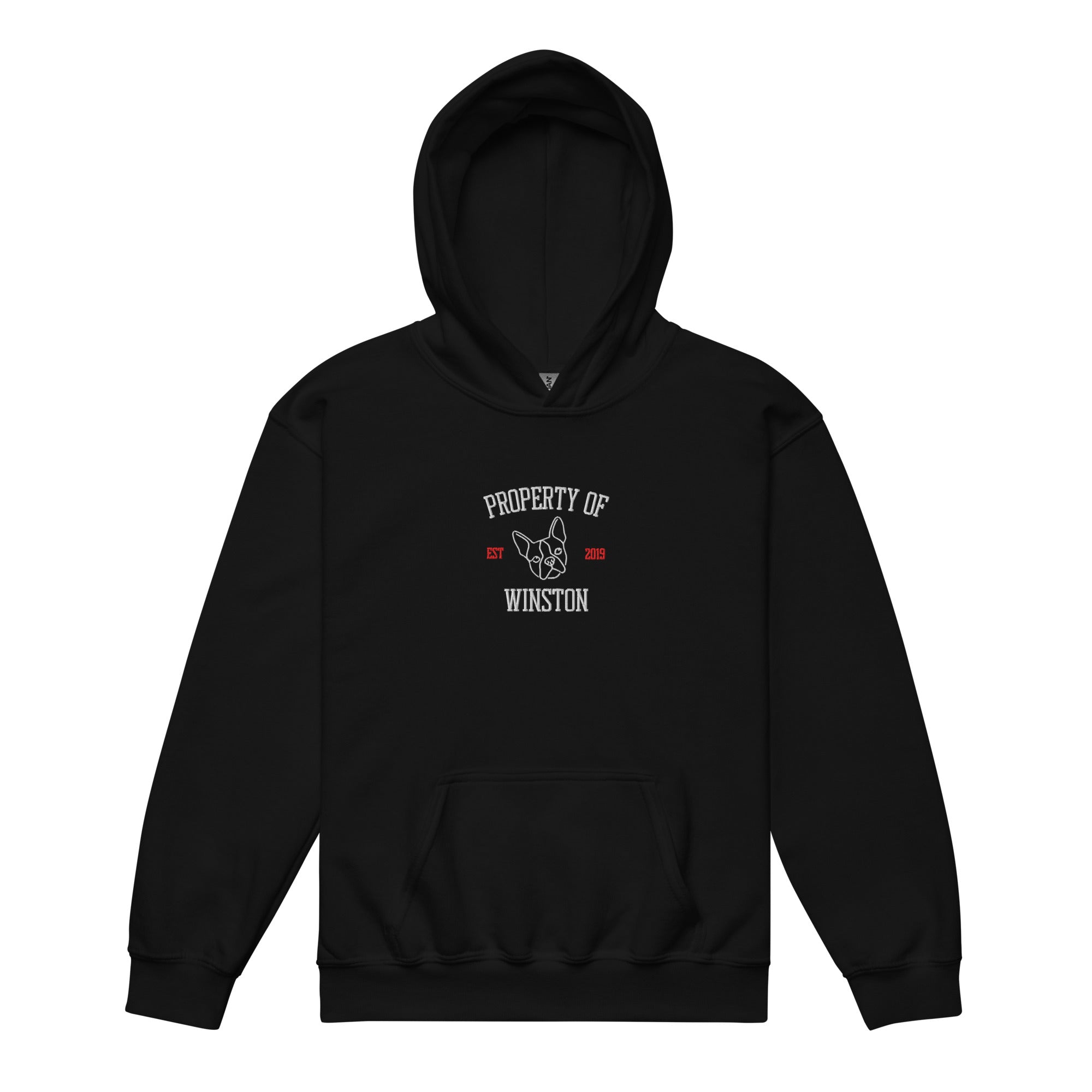 Property Of My Dog Custom Embroidered Youth Heavy Blend Hoodie . Black