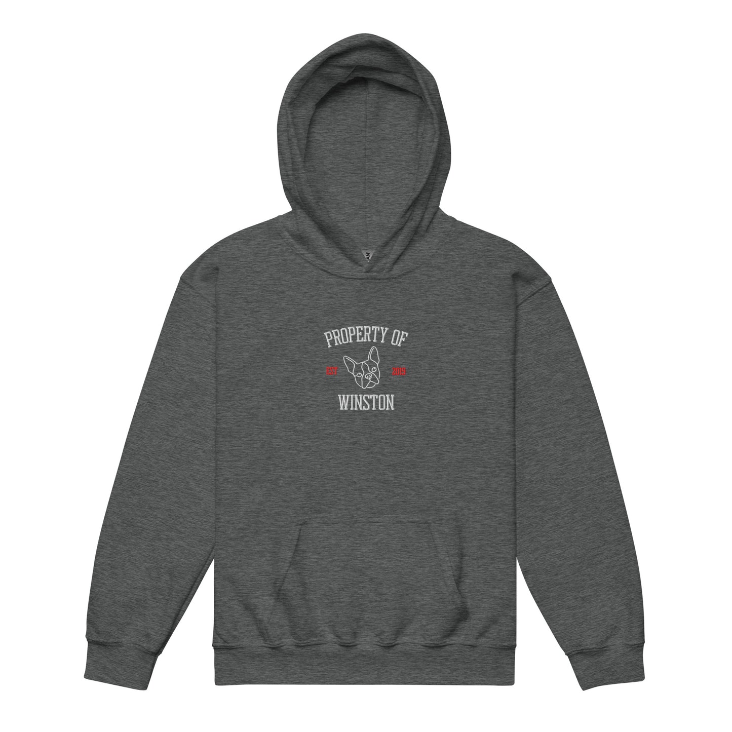 Property Of My Dog Custom Embroidered Youth Heavy Blend Hoodie . Dark Heather