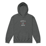 Property Of My Dog Custom Embroidered Youth Heavy Blend Hoodie . Dark Heather