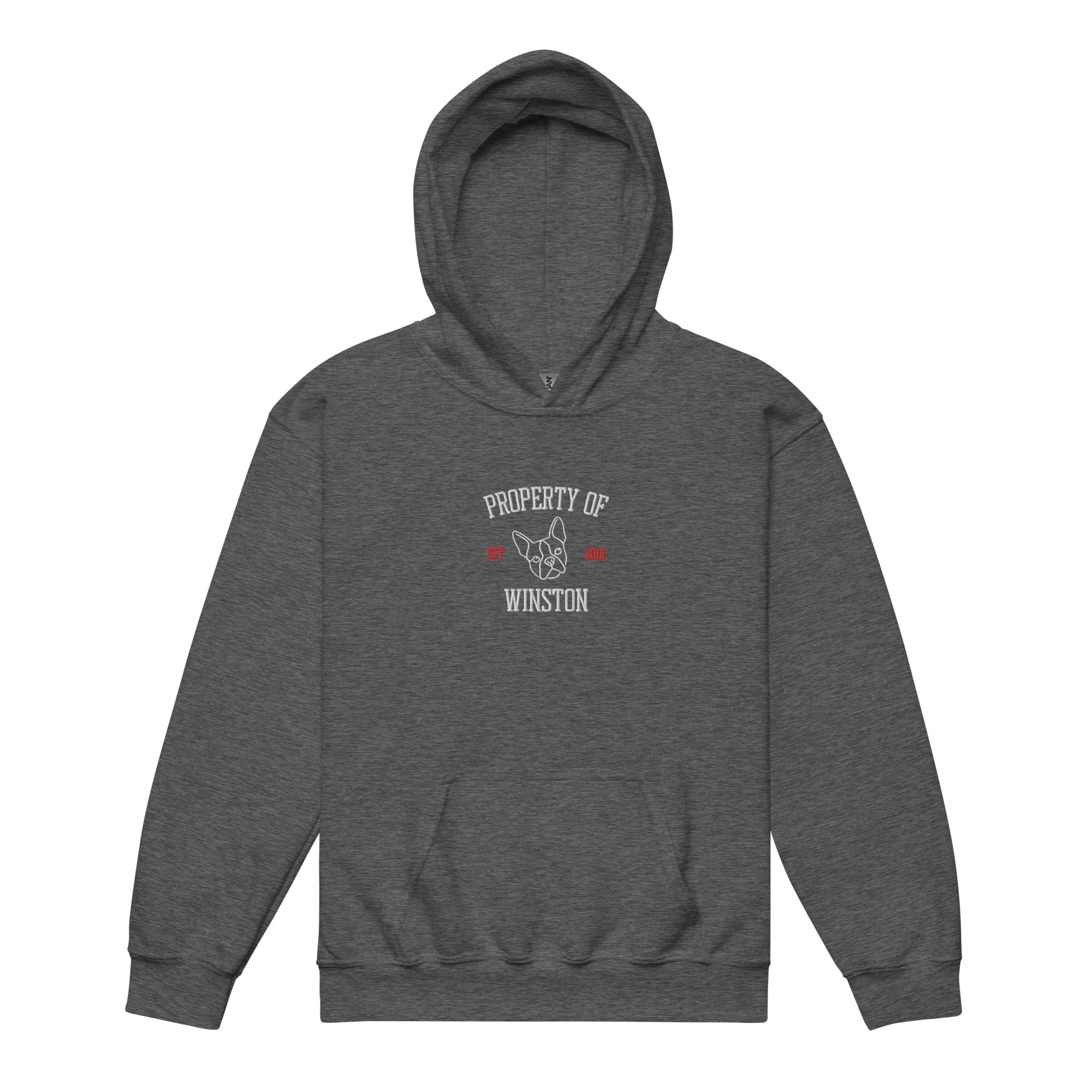 Property Of My Dog Custom Embroidered Youth Heavy Blend Hoodie . Dark Heather