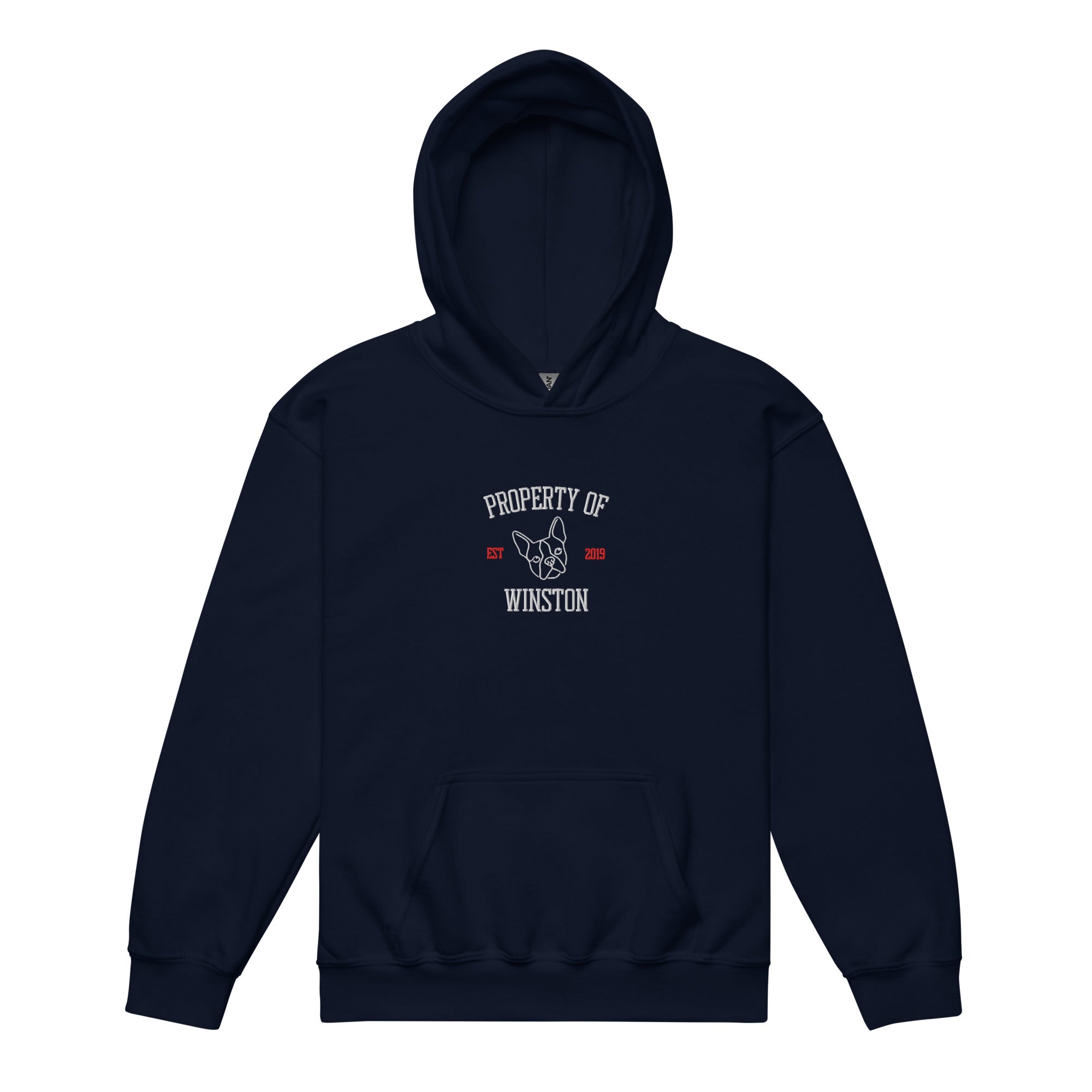 Property Of My Dog Custom Embroidered Youth Heavy Blend Hoodie . Navy