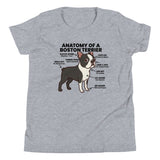 Boston Terrier Anatomy Illustrated Youth Short Sleeve T-Shirt . Athletic Heather